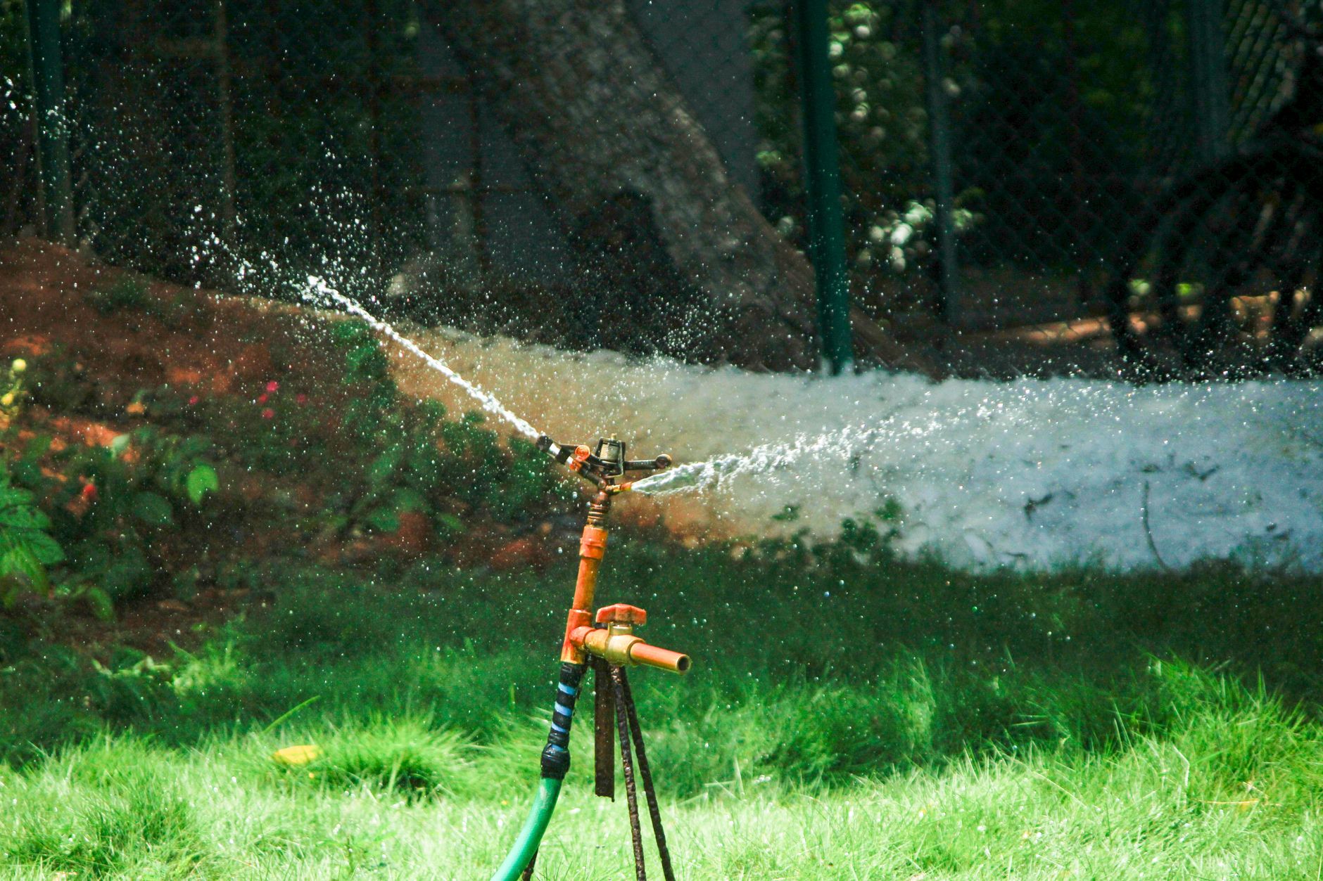 Water Wisely