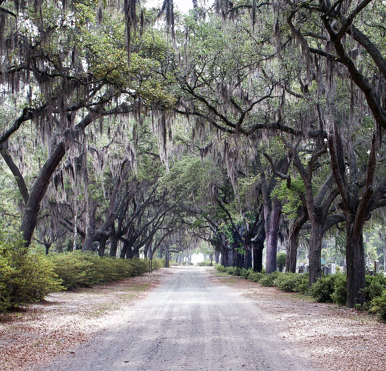 Daphne, AL